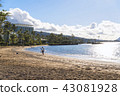 Hawaii beach · 05 43081928