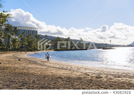 Hawaii beach · 05 Hawaii beach · 05 43081928