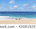 Hawaii beach · 06 43081929