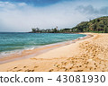 Hawaii beach · 06 43081930