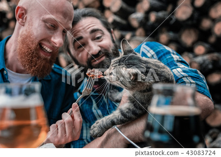 Two funny men giving some piece of meat cute little cat 43083724
