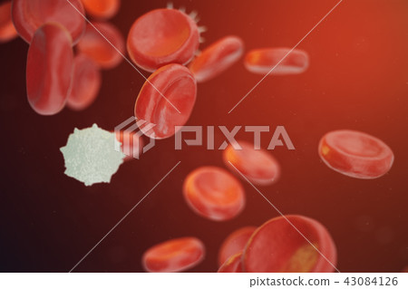 Red and white blood cells releasing neutrophils, eosinophils, basophils, lymphocytes, are the cells 43084126