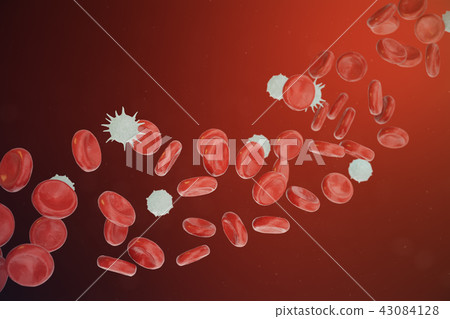 Red and white blood cells releasing neutrophils, eosinophils, basophils, lymphocytes, are the cells 43084128