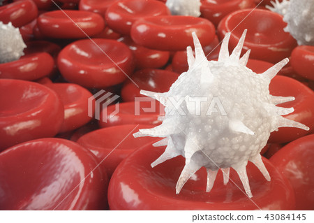 Red blood cells, leukocyte or white blood cells, are the cells of the immune system, infection 43084145