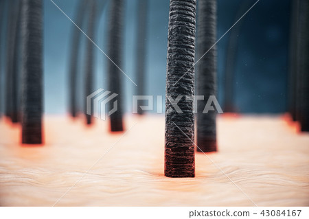 3D Rendering weakened hair. Concept of hair loss. Unfortified, unhealthy hair. Hair with under 43084167