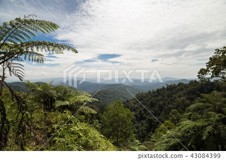 Beautiful view of Banjaran Titiwangsa, Malaysia. 43084399