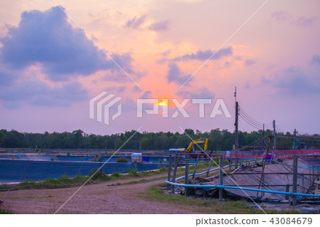 sunset at shrimp farm sunset at shrimp farm 43084679