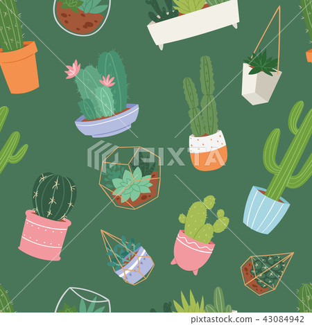 Cactus and succulent flower green home plant seamless pattern floral illustration. 43084942