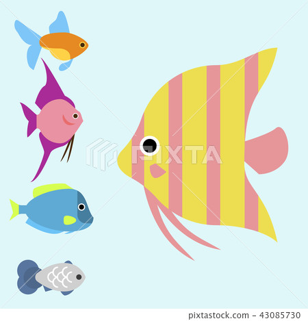 Exotic tropical fish race different breed colors underwater ocean species aquatic strain nature flat Exotic tropical fish race different breed colors underwater ocean species aquatic strain nature flat 43085730