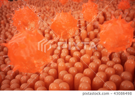 3D illustration Intestinal villi. Intestine lining. Microscopic capillary. Human intestine. Concept 3D illustration Intestinal villi. Intestine lining. Microscopic capillary. Human intestine. Concept 43086498