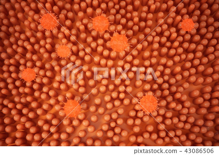 3d illustration Intestinal villi. Intestine lining. Microscopic villi and capillary. Human intestine 43086506