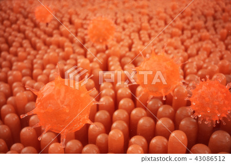 3d illustration Intestinal villi. Intestine lining. Microscopic villi and capillary. Human intestine 3d illustration Intestinal villi. Intestine lining. Microscopic villi and capillary. Human intestine 43086512