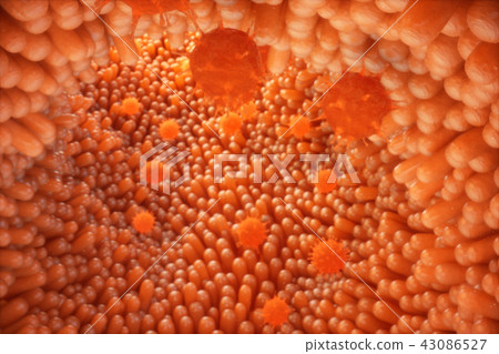 3D illustration Intestinal villi. Intestine lining. Microscopic capillary. Human intestine. Concept 43086527
