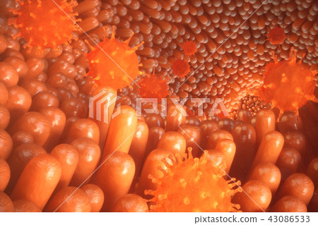 3d illustration Intestinal villi. Intestine lining. Microscopic villi and capillary. Human intestine 3d illustration Intestinal villi. Intestine lining. Microscopic villi and capillary. Human intestine 43086533