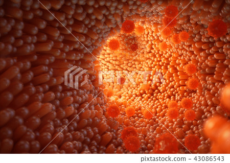 3d illustration Intestinal villi. Intestine lining. Microscopic villi and capillary. Human intestine 43086543