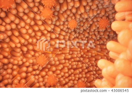3d illustration Intestinal villi. Intestine lining. Microscopic villi and capillary. Human intestine 43086545