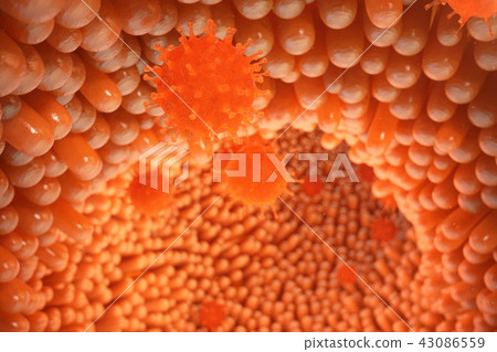 3d illustration Intestinal villi. Intestine lining. Microscopic villi and capillary. Human intestine 43086559