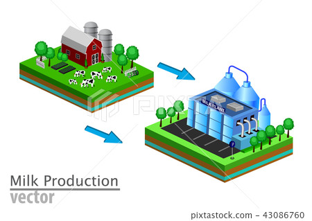 Dairy product delivery stages milk can processing Dairy product delivery stages milk can processing 43086760