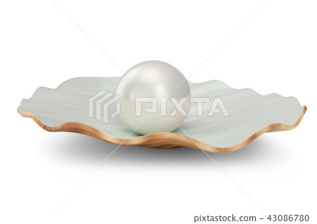 Shell with pearl inside. Natural open pearl shell. 3D illustration Shell with pearl inside. Natural open pearl shell. 3D illustration 43086780