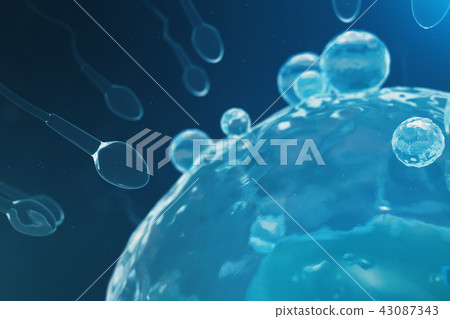 Sperm and egg cell, ovum. Native and natural fertilization - close-up view. Conception, the Sperm and egg cell, ovum. Native and natural fertilization - close-up view. Conception, the 43087343