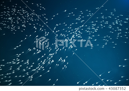 Sperm approaching egg cell, ovum. natural fertilization - close-up view. Conception, the beginning Sperm approaching egg cell, ovum. natural fertilization - close-up view. Conception, the beginning 43087352