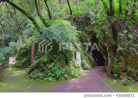 [Furen Limestone Cave] (High-resolution version) Ozu Prefecture Usuki City Nozu Town 43088031