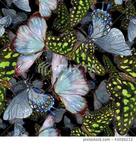 Exotic butterflies wild insect in a watercolor style. Seamless background pattern. Exotic butterflies wild insect in a watercolor style. Seamless background pattern. 43088212