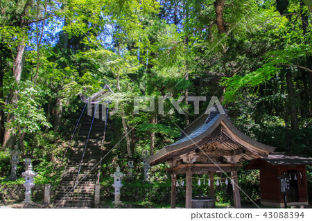 Togakushi Shrine Nakasha 43088394