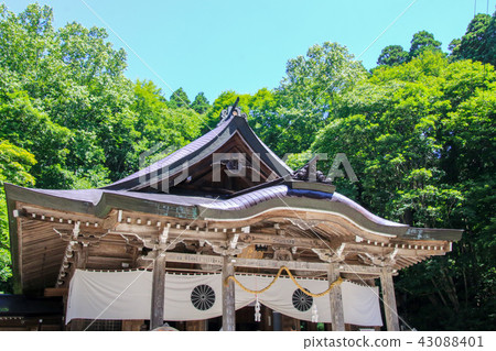 Togakushi Shrine Nakasha 43088401