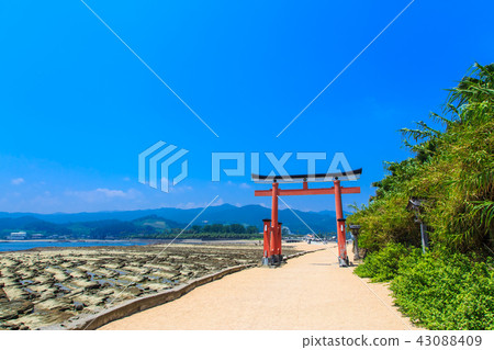 青島神宮青島神宮和鬼的搓板[宮崎縣宮崎市] 43088409