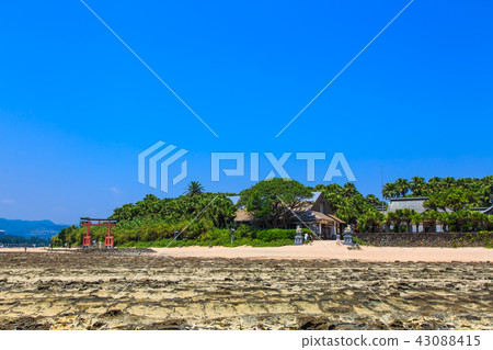 青島神宮青島神宮和鬼的搓板[宮崎縣宮崎市] 43088415