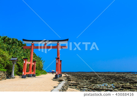 Aoshima Shrine Aoshima Shrine and Oni's Washboard [Miyazaki City, Miyazaki Prefecture] 43088416