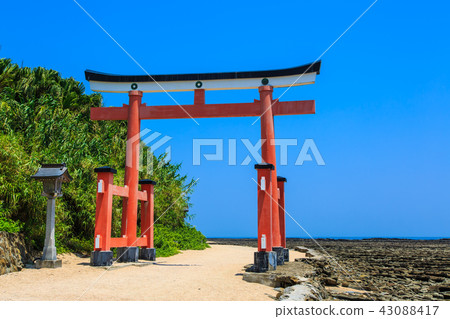 青島神宮青島神宮和鬼的搓板[宮崎縣宮崎市] 43088417