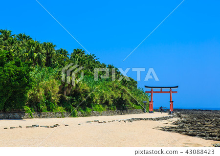 青島神宮青島神宮和鬼的搓板[宮崎縣宮崎市] 43088423