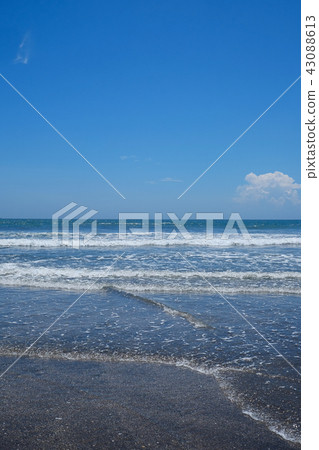 Coastal landscape · Timber Coast 43088613