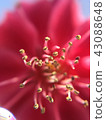 [Takaoka City, Toyama Prefecture] Flower-up 43088648