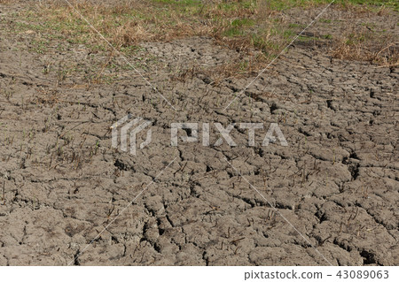 Cracked earth background texture Cracked earth background texture 43089063