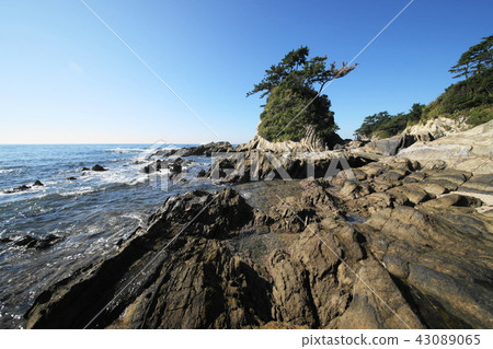 Yokosuka city Arasaki park Yokosuka city Arasaki seaside Yokosuka city Arasaki park Yokosuka city Arasaki seaside 43089065