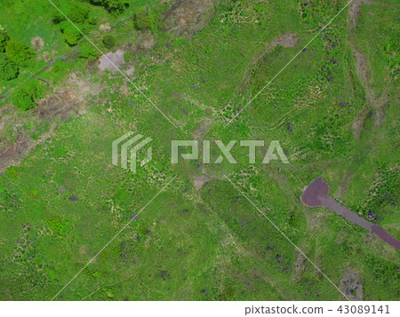 Aerial photograph with grass origin - drone (Asagiri Kogen / Shizuoka prefecture Fujinomiya City) 43089141