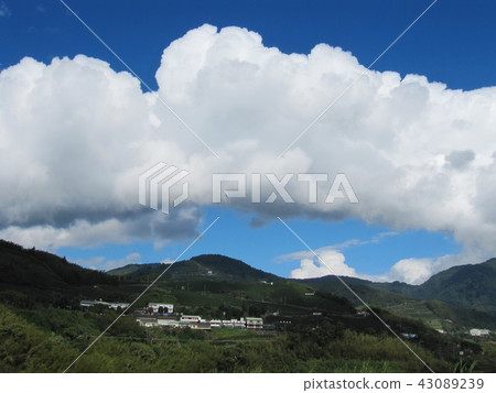 Alishan Xinzhongheng 43089239