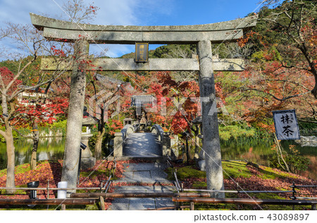 Autumn colors at Eikando Temple in Kyoto, Japan 43089897