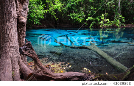 Emerald blue pool in Krabi province, Thailand 43089898