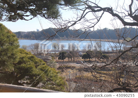 Kairakuen Landscape 43090255