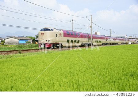 Kotohira的延伸駕駛睡覺限製表達“日出瀨戶” Kotohira的延伸駕駛睡覺限製表達“日出瀨戶” 43091229