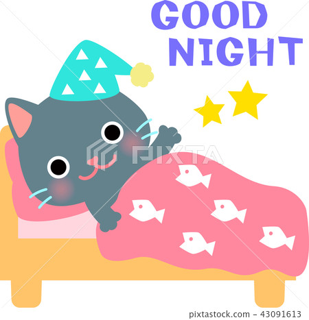 Cat sleeping in bed 43091613