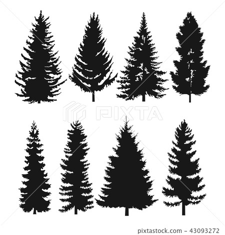 pine tree flat icon 43093272