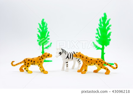 Leopard and Zebra  model isolated on white 43096218