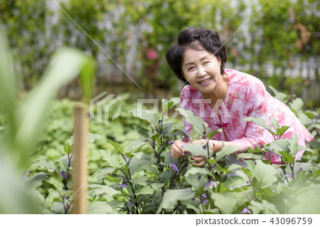 高級生活 高級生活 43096759