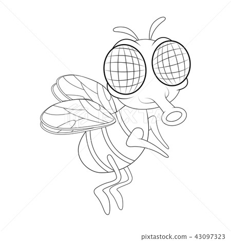 fly cartoon character vector design isolated fly cartoon character vector design isolated 43097323