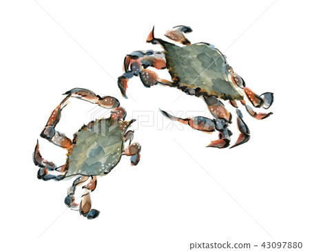 螃蟹克勞福德螃蟹 43097880